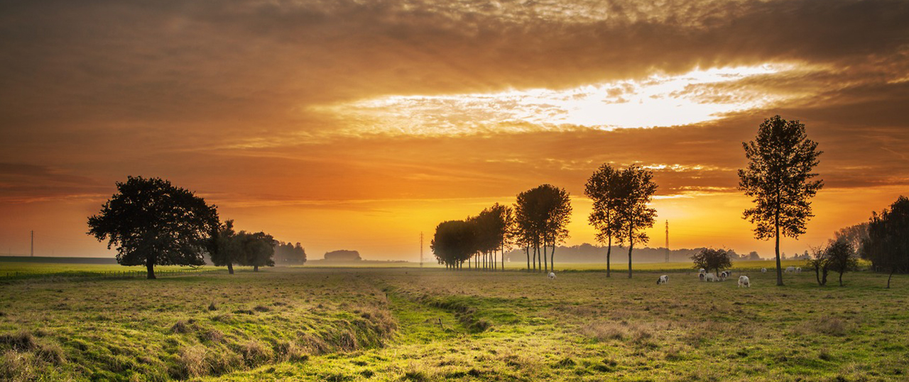 催化业务增长的电话测压网站