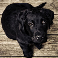 短信电话免费轰炸网站