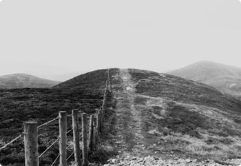 安全可靠放心的炸你妹在线轰炸